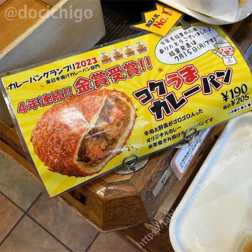f:id:docichigo:20240728161635j:image
