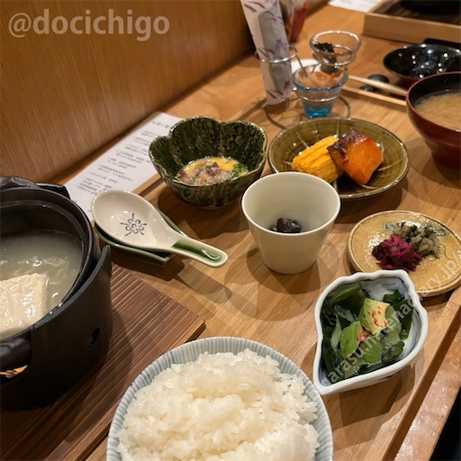 f:id:docichigo:20240804110000j:image