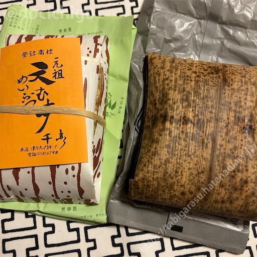 f:id:docichigo:20240818133241j:image