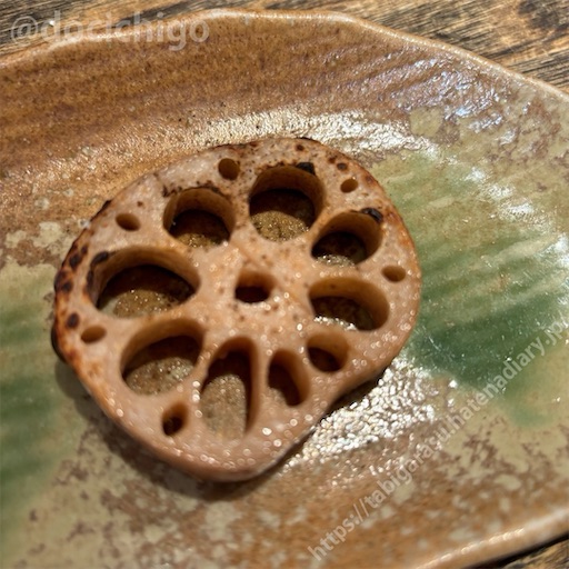 f:id:docichigo:20240818142340j:image f:id:docichigo:20240818142340j:image