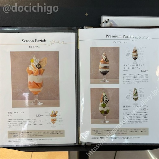 f:id:docichigo:20240825102622j:image