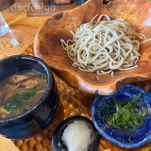 f:id:docichigo:20240825112122j:image f:id:docichigo:20240825112122j:image