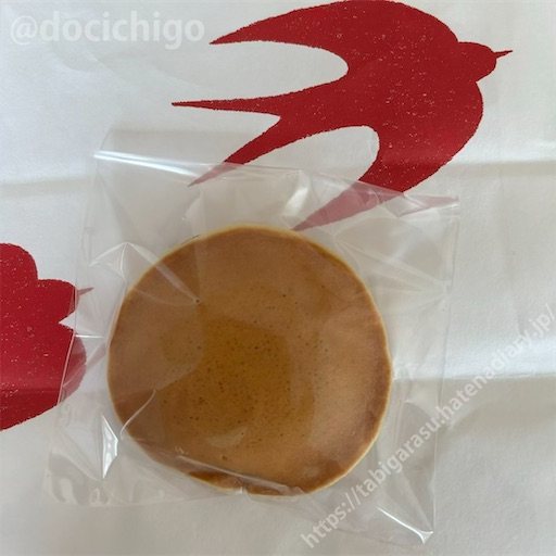 f:id:docichigo:20241014104229j:image