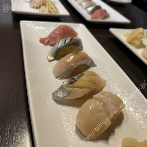 f:id:docichigo:20241014111450j:image