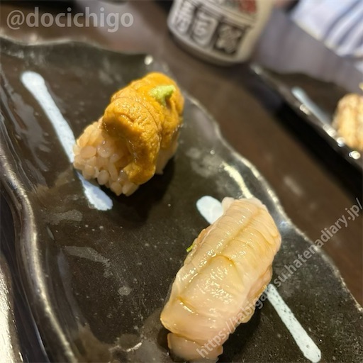 f:id:docichigo:20241014111456j:image