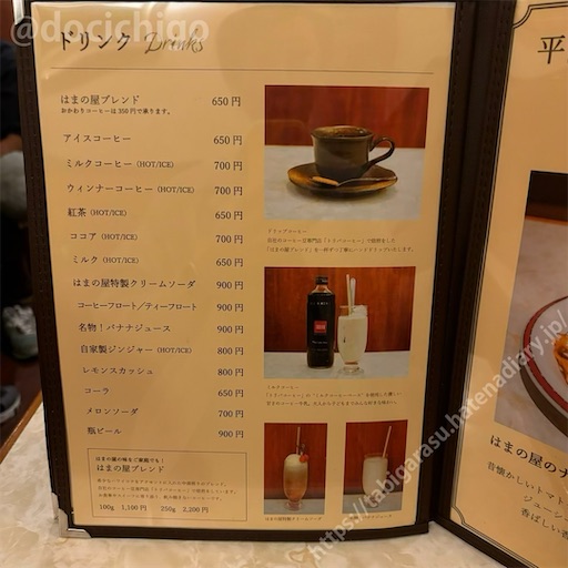 f:id:docichigo:20241021210822j:image