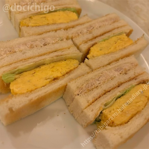 f:id:docichigo:20241021210832j:image