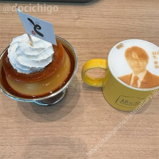 f:id:docichigo:20241111114804j:image f:id:docichigo:20241111114804j:image