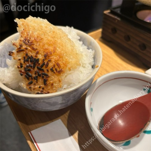 f:id:docichigo:20241117155334j:image