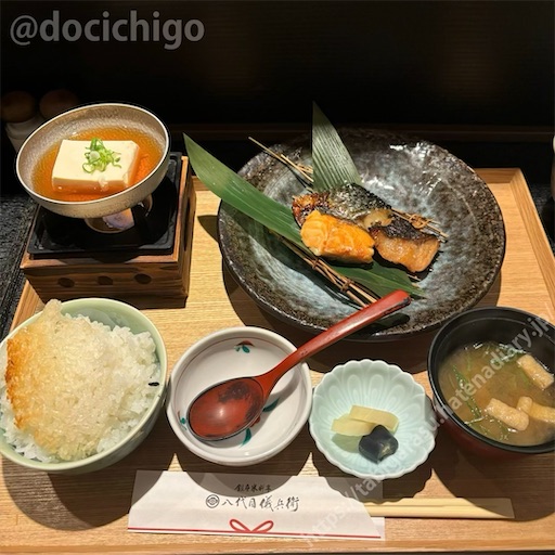 f:id:docichigo:20241117155341j:image