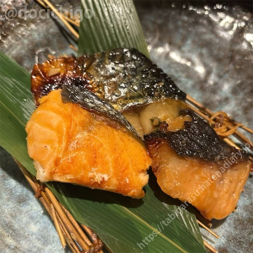 f:id:docichigo:20241117155347j:image