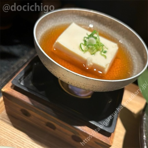 f:id:docichigo:20241117155354j:image