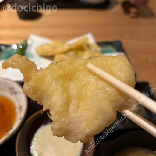 f:id:docichigo:20241124200644j:image