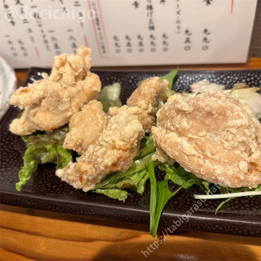 f:id:docichigo:20241215125959j:image
