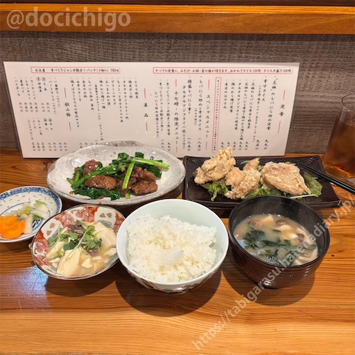 f:id:docichigo:20241215130005j:image