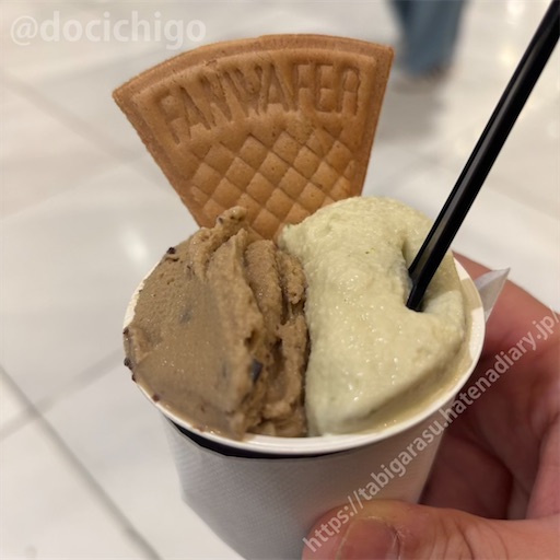 f:id:docichigo:20250103163704j:image