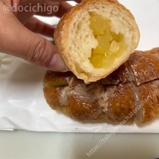 f:id:docichigo:20250119104320j:image