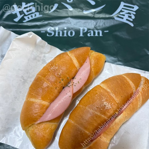 f:id:docichigo:20250119104323j:image