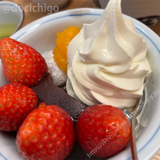 f:id:docichigo:20250119170942j:image