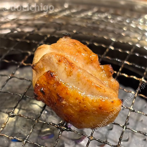 f:id:docichigo:20250202192210j:image