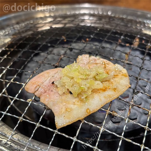 f:id:docichigo:20250202192225j:image