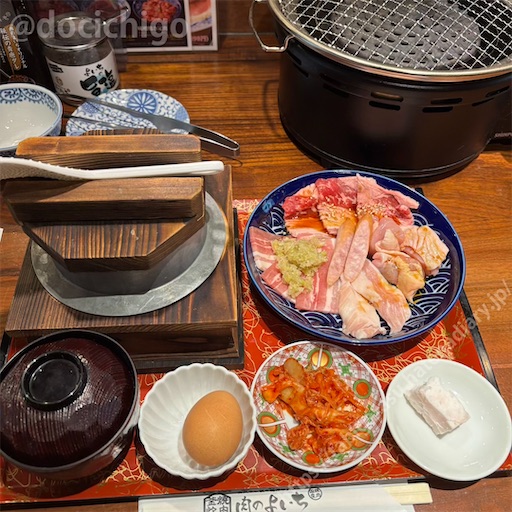 f:id:docichigo:20250202192344j:image