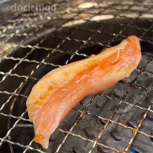 f:id:docichigo:20250202194914j:image