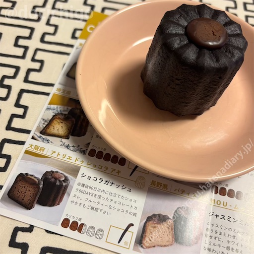 f:id:docichigo:20250209111549j:image