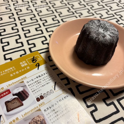 f:id:docichigo:20250209111604j:image