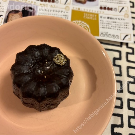 f:id:docichigo:20250209111607j:image