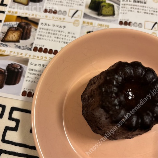 f:id:docichigo:20250209111637j:image
