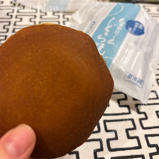 f:id:docichigo:20250309192853j:image