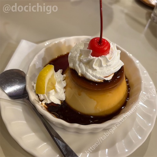 f:id:docichigo:20250511154039j:image