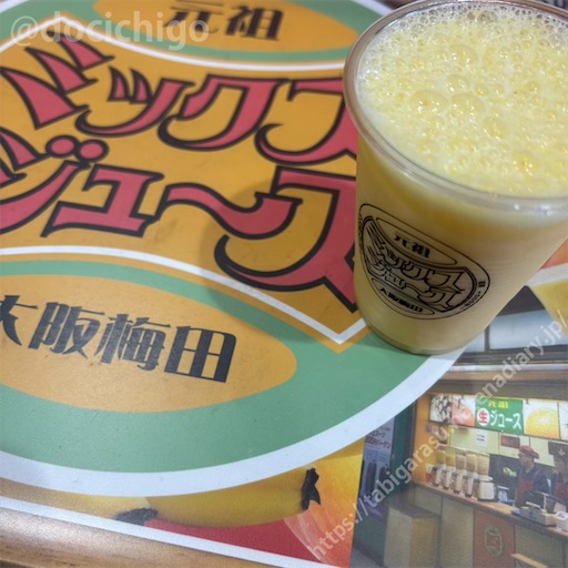 f:id:docichigo:20250511162817j:image