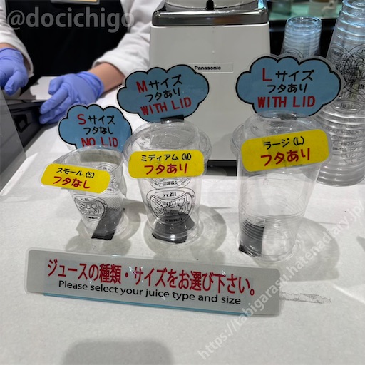 f:id:docichigo:20250511162823j:image