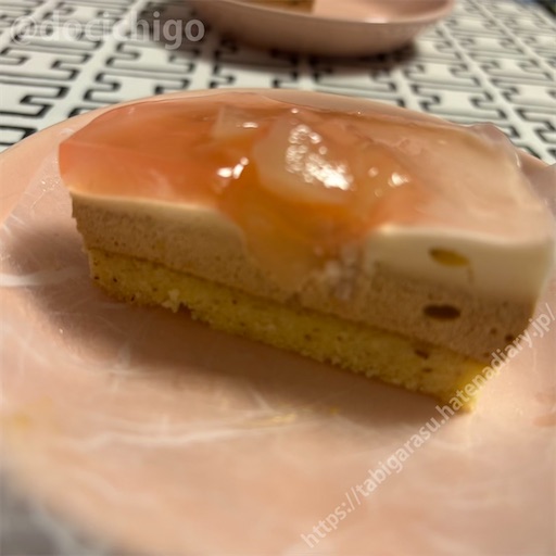 f:id:docichigo:20250518213033j:image f:id:docichigo:20250518213033j:image