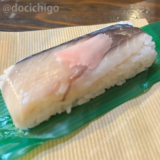 f:id:docichigo:20250525203447j:image