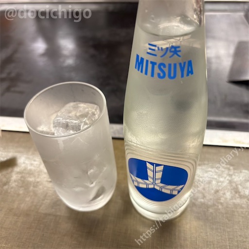 f:id:docichigo:20250601182429j:image