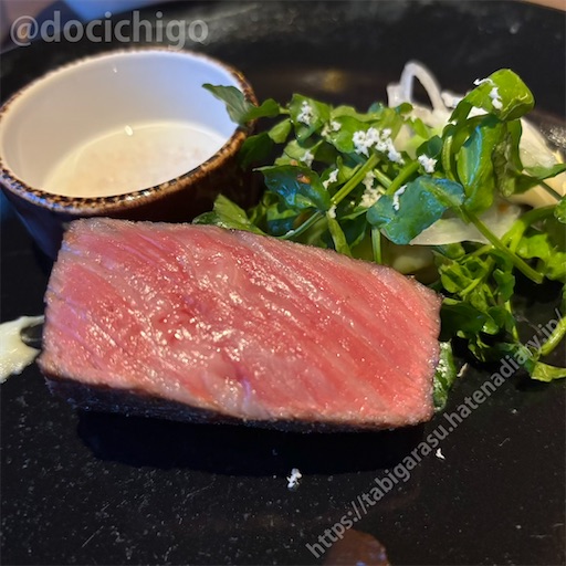 f:id:docichigo:20250601195839j:image