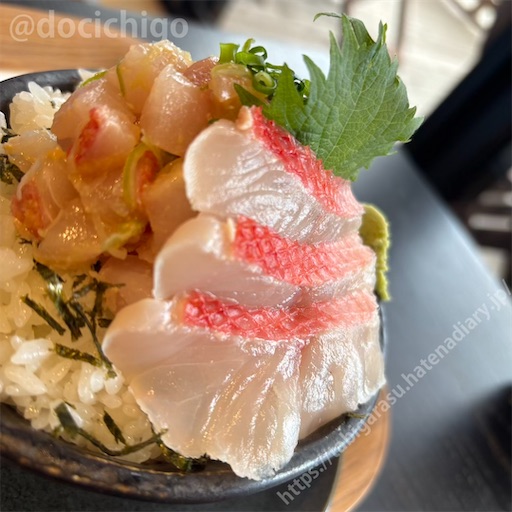 f:id:docichigo:20250622170422j:image