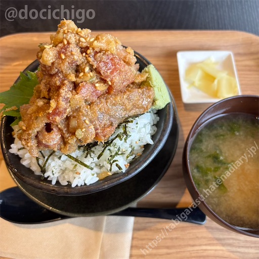 f:id:docichigo:20250622170425j:image