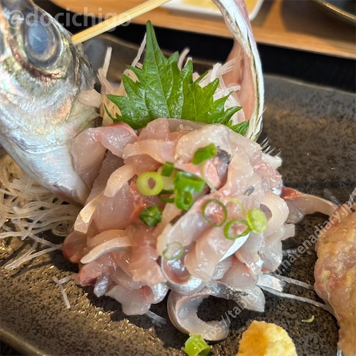 f:id:docichigo:20250622170436j:image