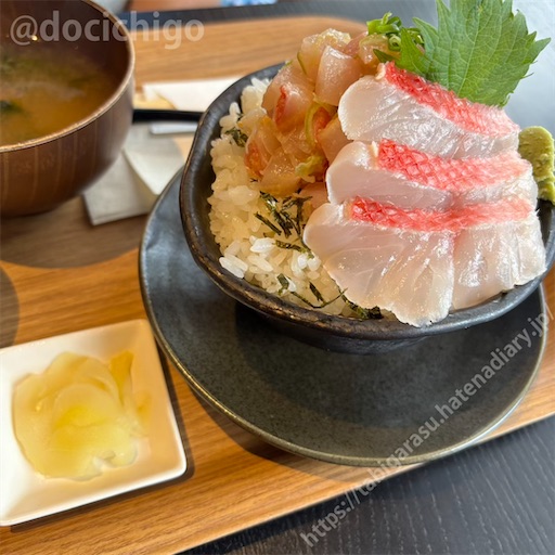 f:id:docichigo:20250622170442j:image