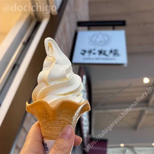 f:id:docichigo:20250622173239j:image