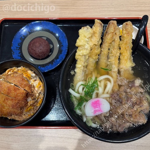 f:id:docichigo:20250622174709j:image