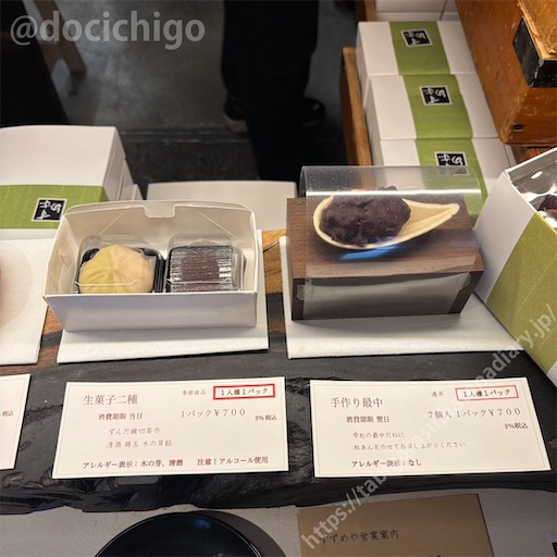 f:id:docichigo:20250810155651j:image