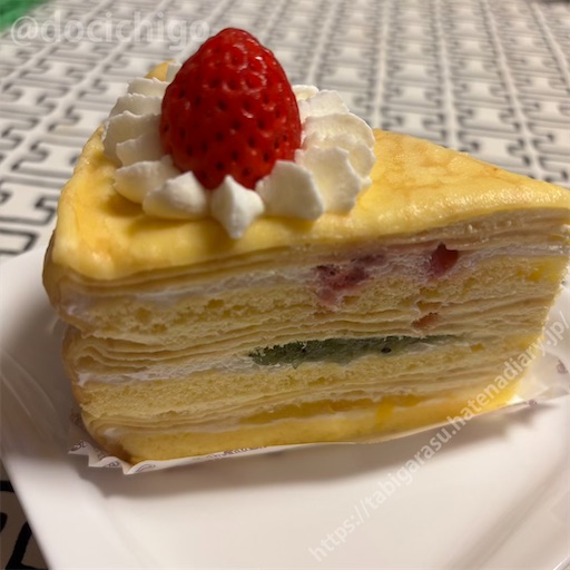 f:id:docichigo:20251005110858j:image
