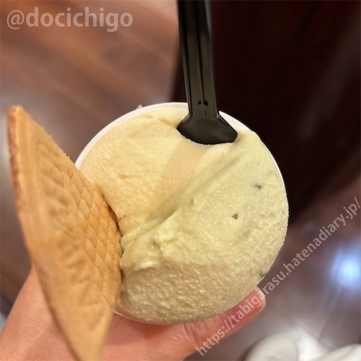 f:id:docichigo:20251019193226j:image