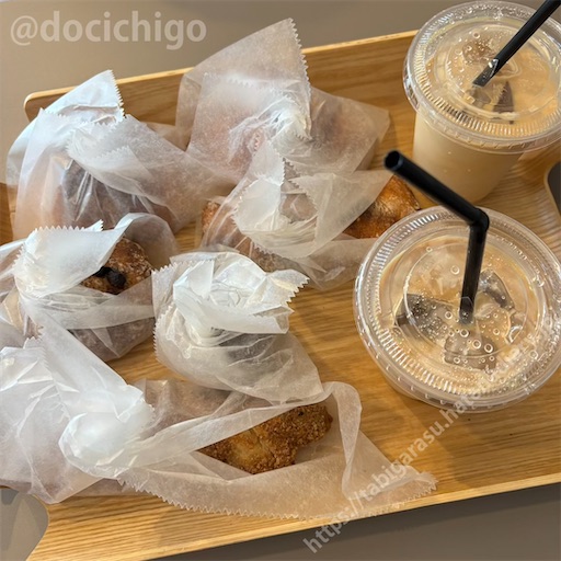 f:id:docichigo:20251024080019j:image