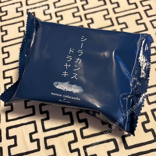 f:id:docichigo:20251026154037j:image